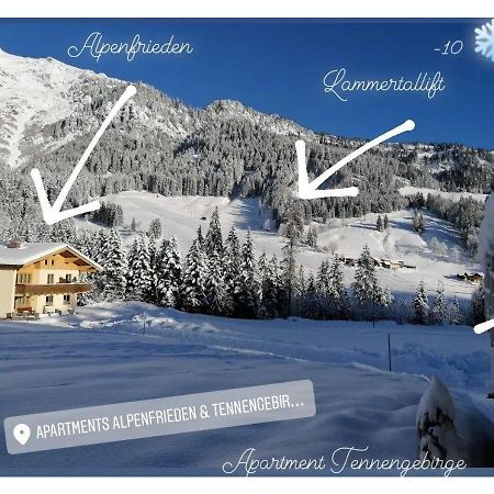 Apartment Tennengebirge Sankt Martin am Tennengebirge Zewnętrze zdjęcie