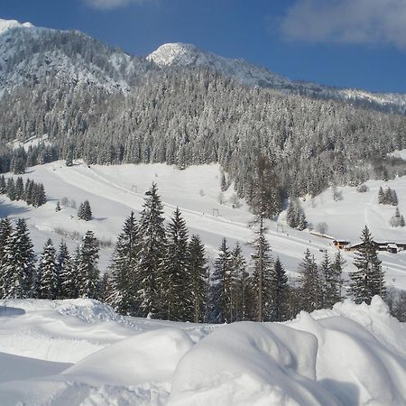 Apartment Tennengebirge Sankt Martin am Tennengebirge Zewnętrze zdjęcie