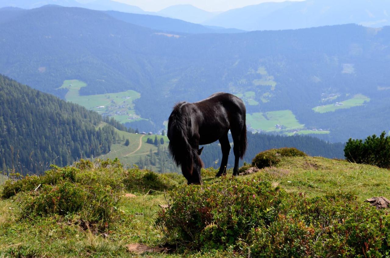 Apartment Tennengebirge Sankt Martin am Tennengebirge Zewnętrze zdjęcie