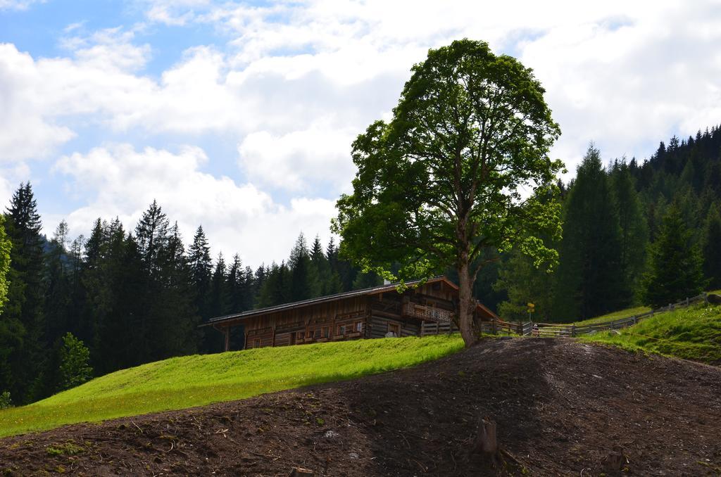 Apartment Tennengebirge Sankt Martin am Tennengebirge Zewnętrze zdjęcie