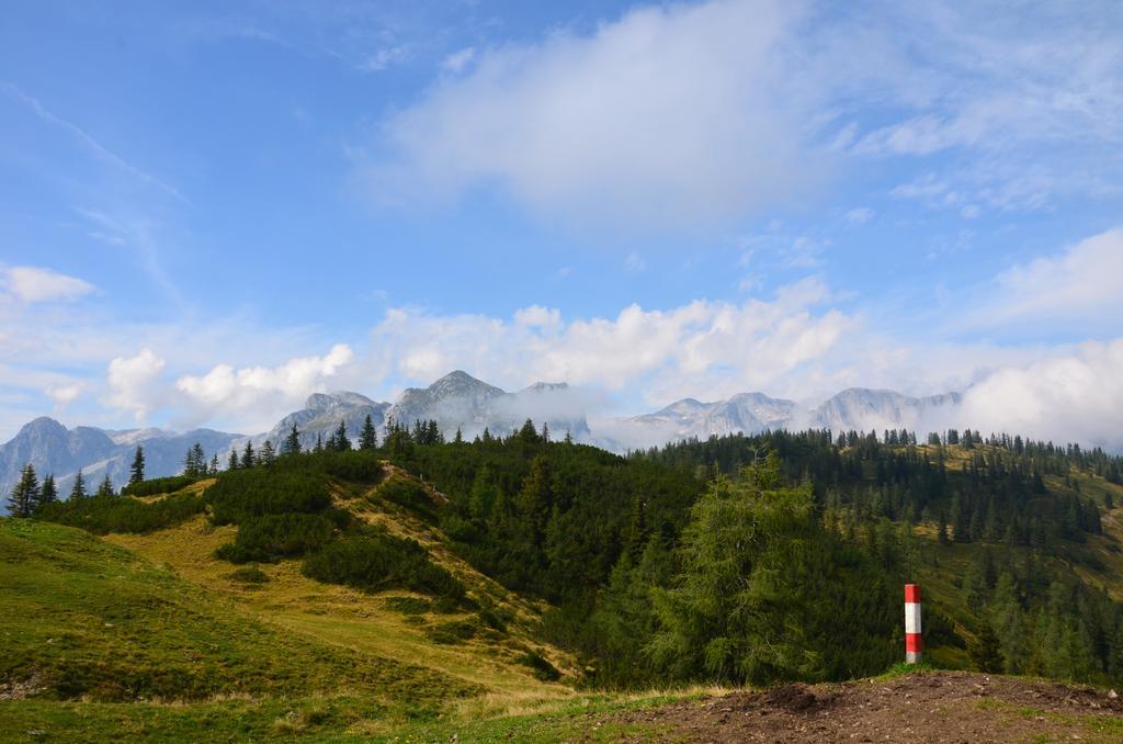 Apartment Tennengebirge Sankt Martin am Tennengebirge Zewnętrze zdjęcie