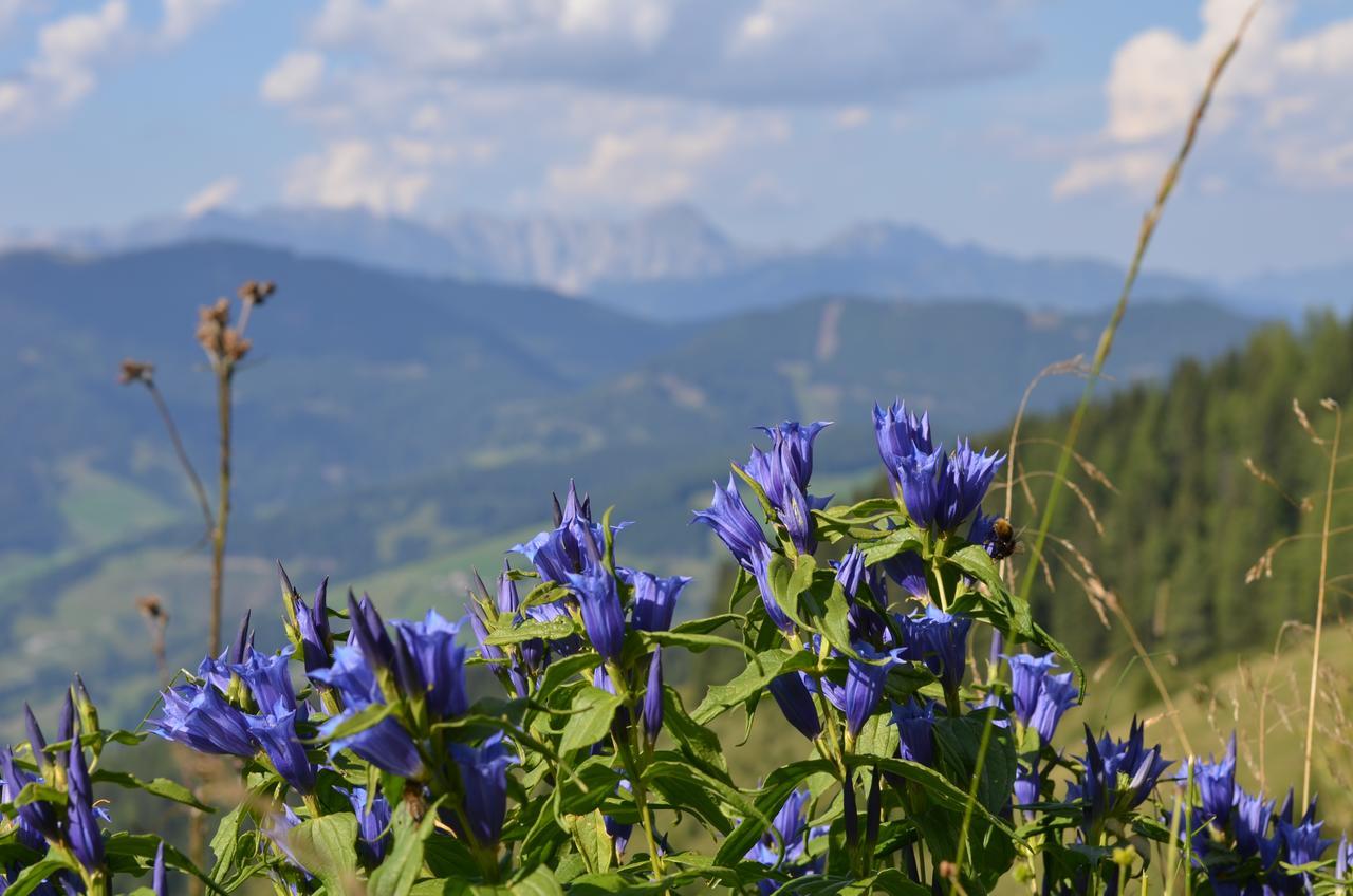 Apartment Tennengebirge Sankt Martin am Tennengebirge Zewnętrze zdjęcie